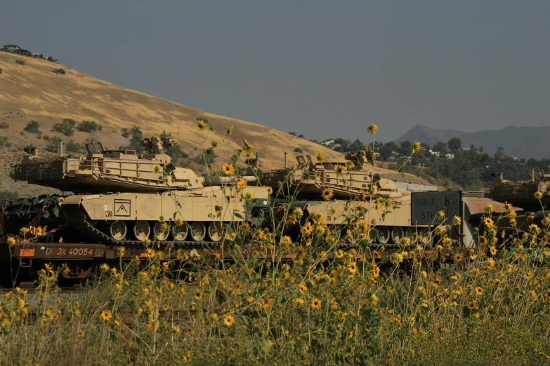 military vehicles parked in a field of wild flowers