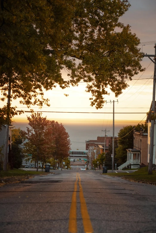 an empty street with a stop sign and a tree