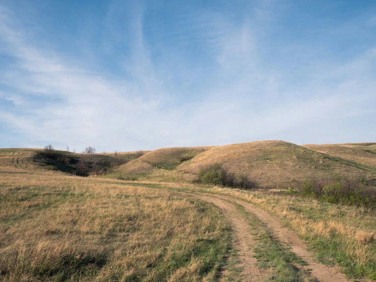 a dirt trail winds its way across an open grassy landscape