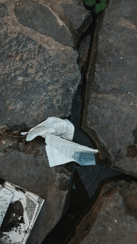 the bird is sitting on top of the newspapers