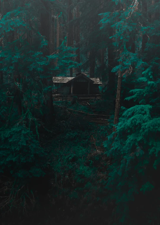 the cabin is nestled between the trees in the forest