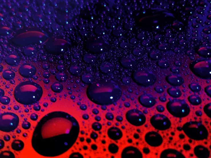 many dark blue drops on a red and purple background
