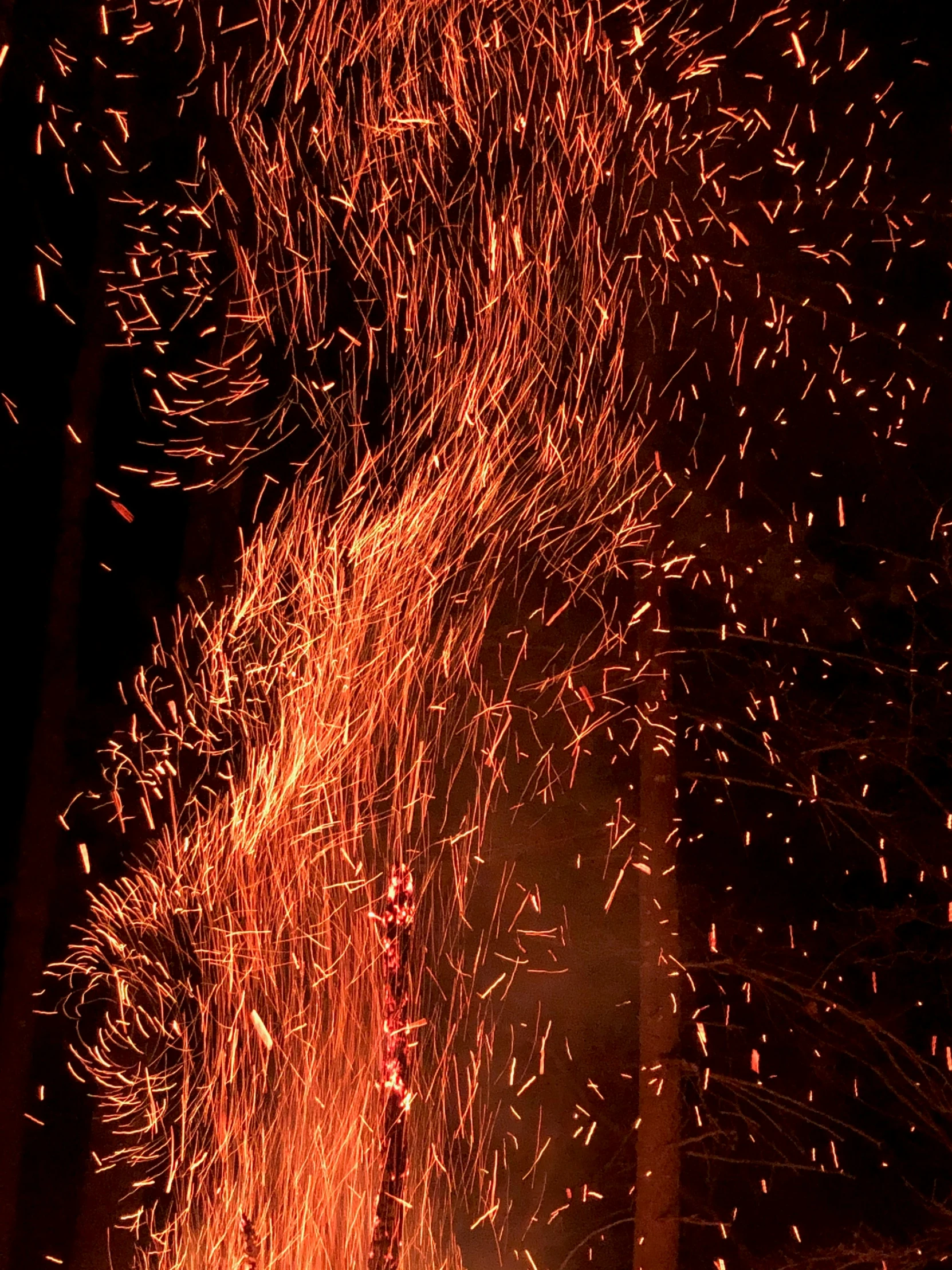 some red and black fireworks exploding up into the air