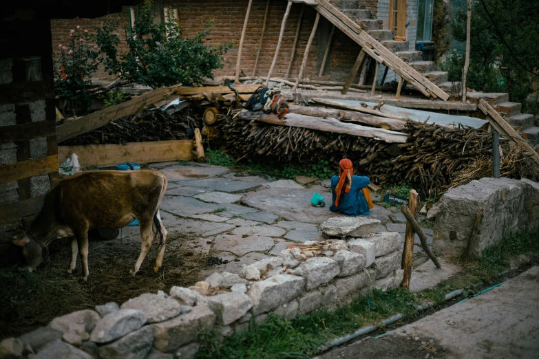 two animals in a yard next to an old house