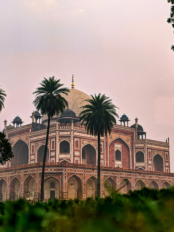 a view of a dome with palm trees in the foreground