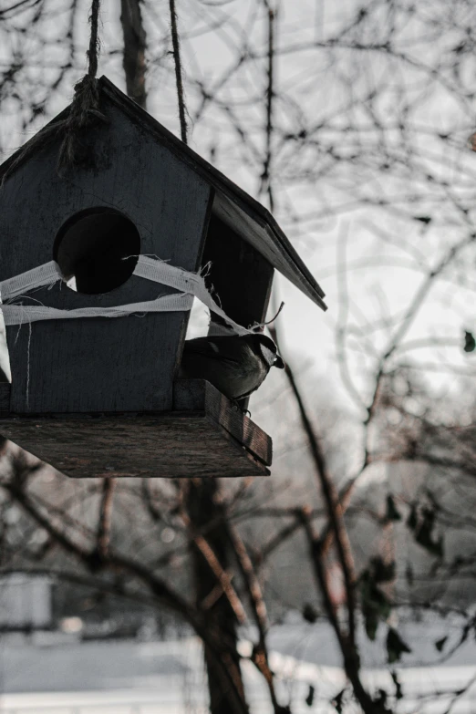 a black birdhouse with two birds in it hanging from the tree