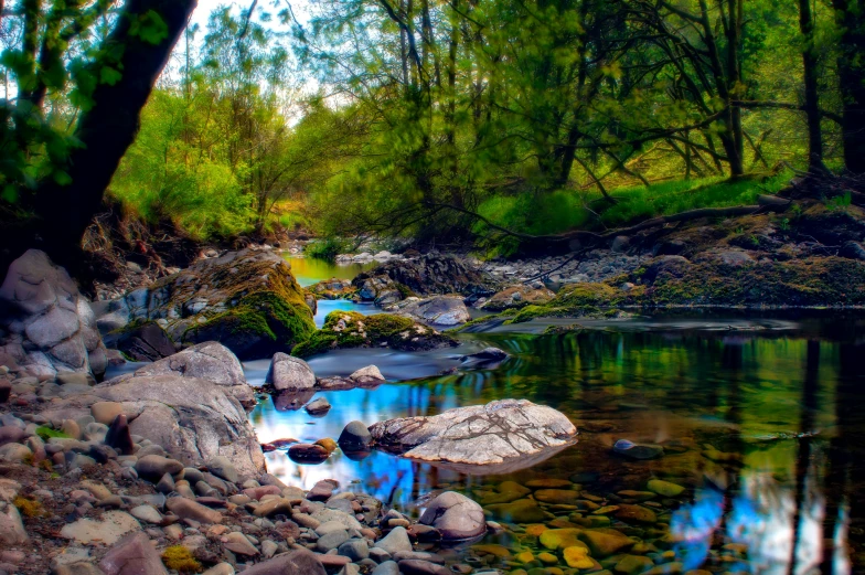 a small stream surrounded by rocks and grass