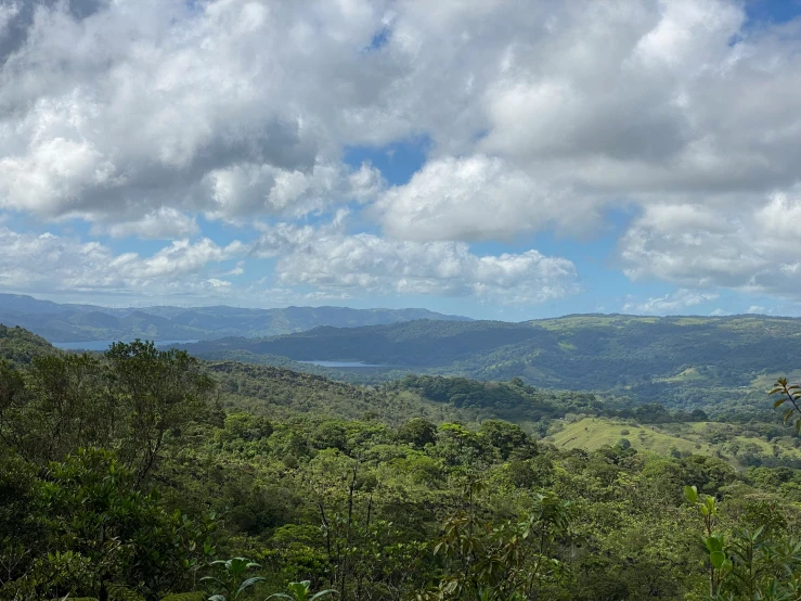 a lush green forest covered in clouds and a blue sky