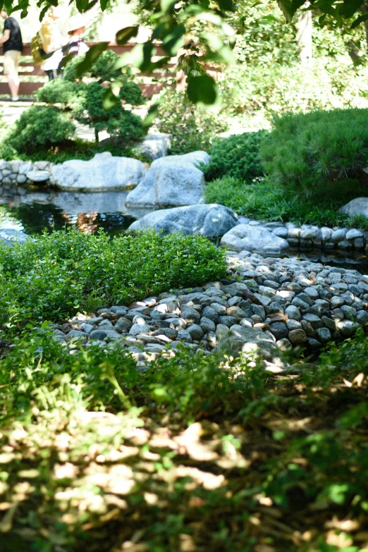 a rocky river surrounded by trees and shrubbery