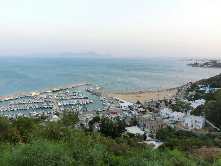 a marina is lined with small boats and trees