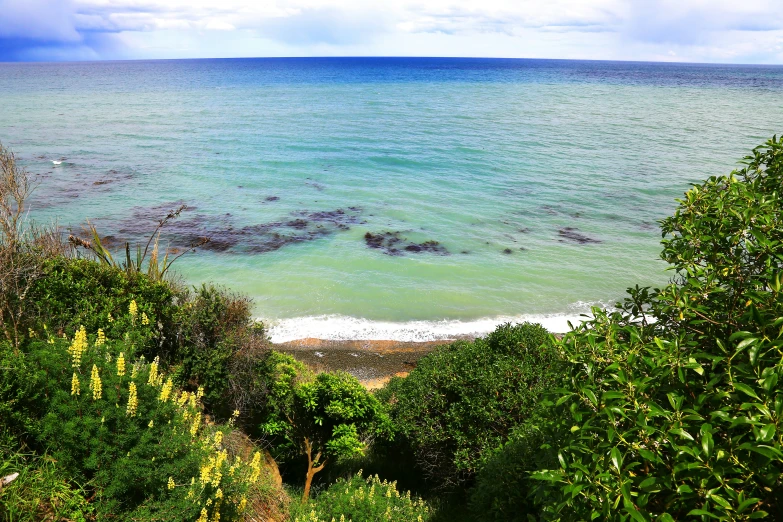 water, trees and blue sky are shown from the cliff