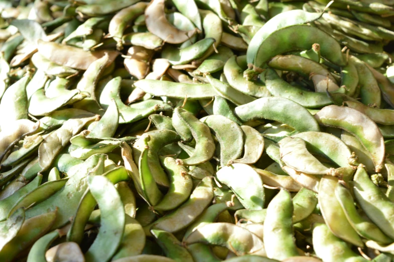 a pile of green bean halves piled on top of each other