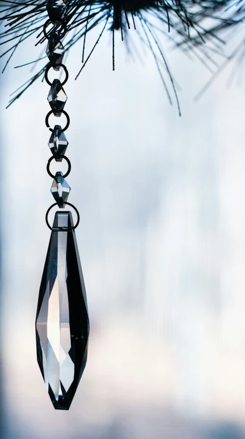 a crystal pendulum hanging from a pine tree nch