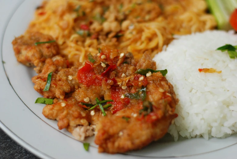 a close up of a plate of food with rice