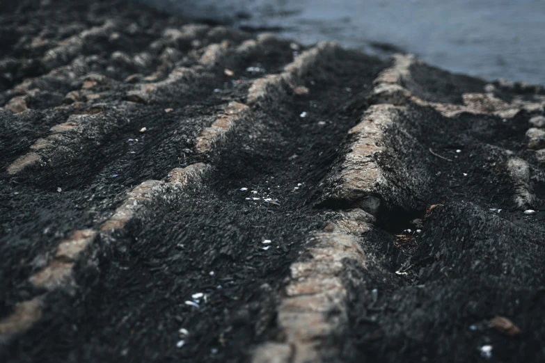 a tire laying on a field near the water