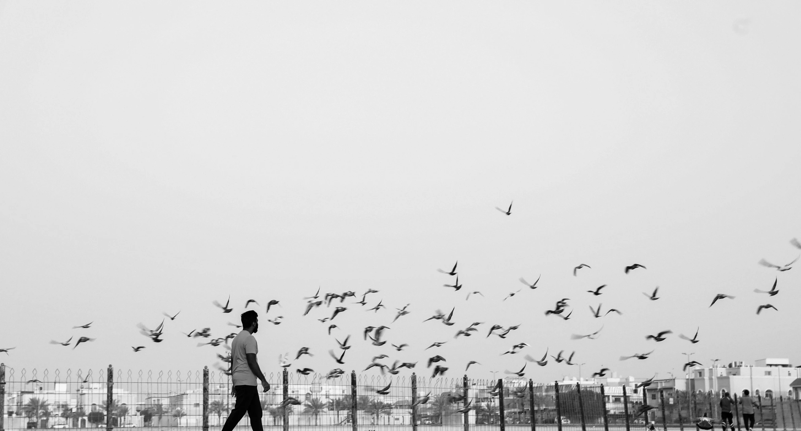 a person is standing and staring at some birds