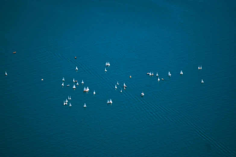 a group of sail boats floating around the water