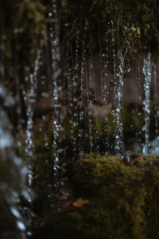 the stream is flowing down the side of a forest