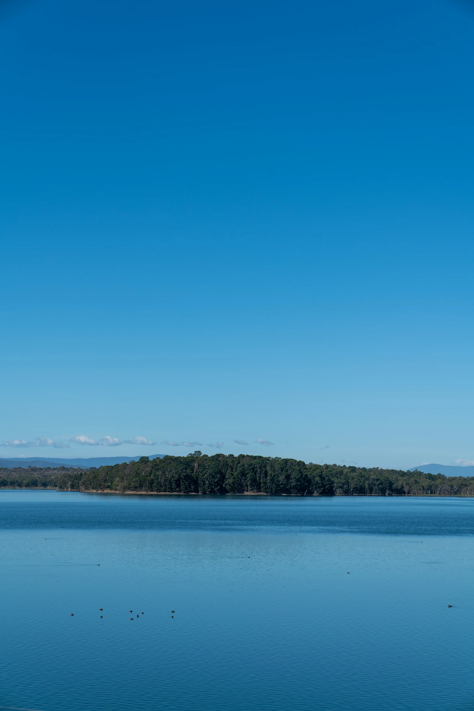 an image of a lone island out on the water