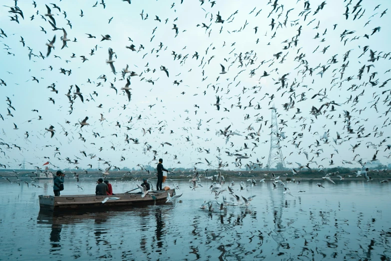 a boat filled with birds in the water