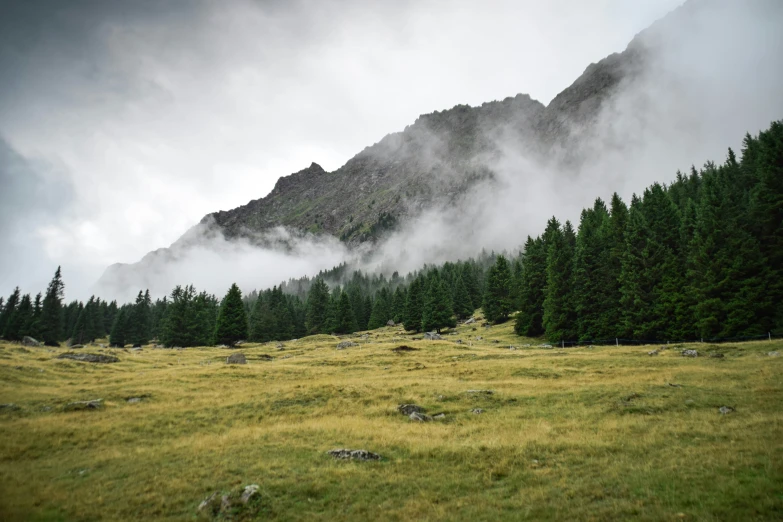 mountains are dotted with low lying fog and green grass