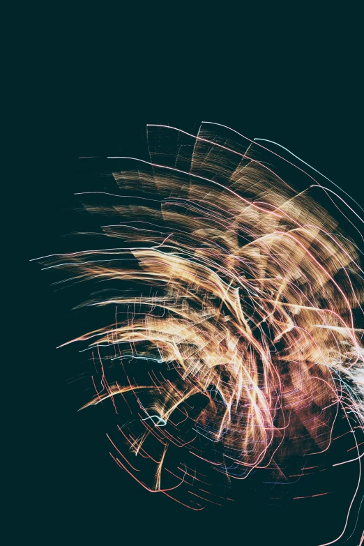 fireworks exploding at night on a dark sky