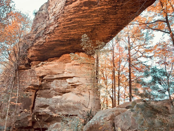 an overhanging rock formation surrounded by trees in autumn