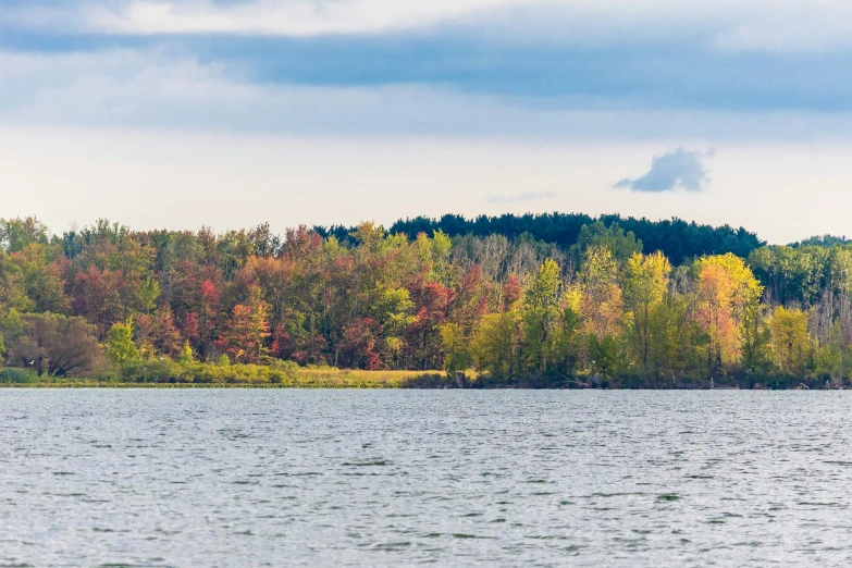 trees behind the water and on the land around the lake