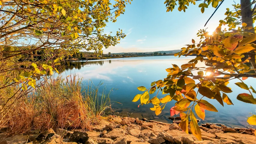 a view through the leaves of trees over a body of water