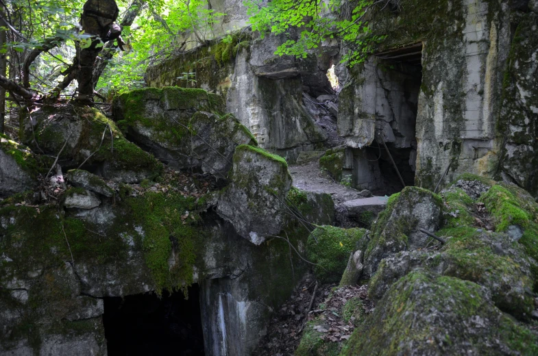 a cave entrance is surrounded by mossy rock formations