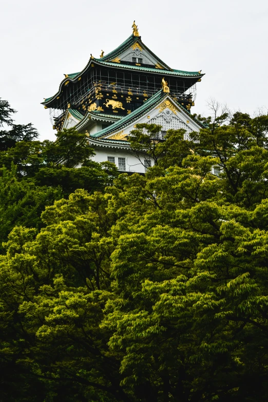 a pagoda on top of a hill surrounded by trees