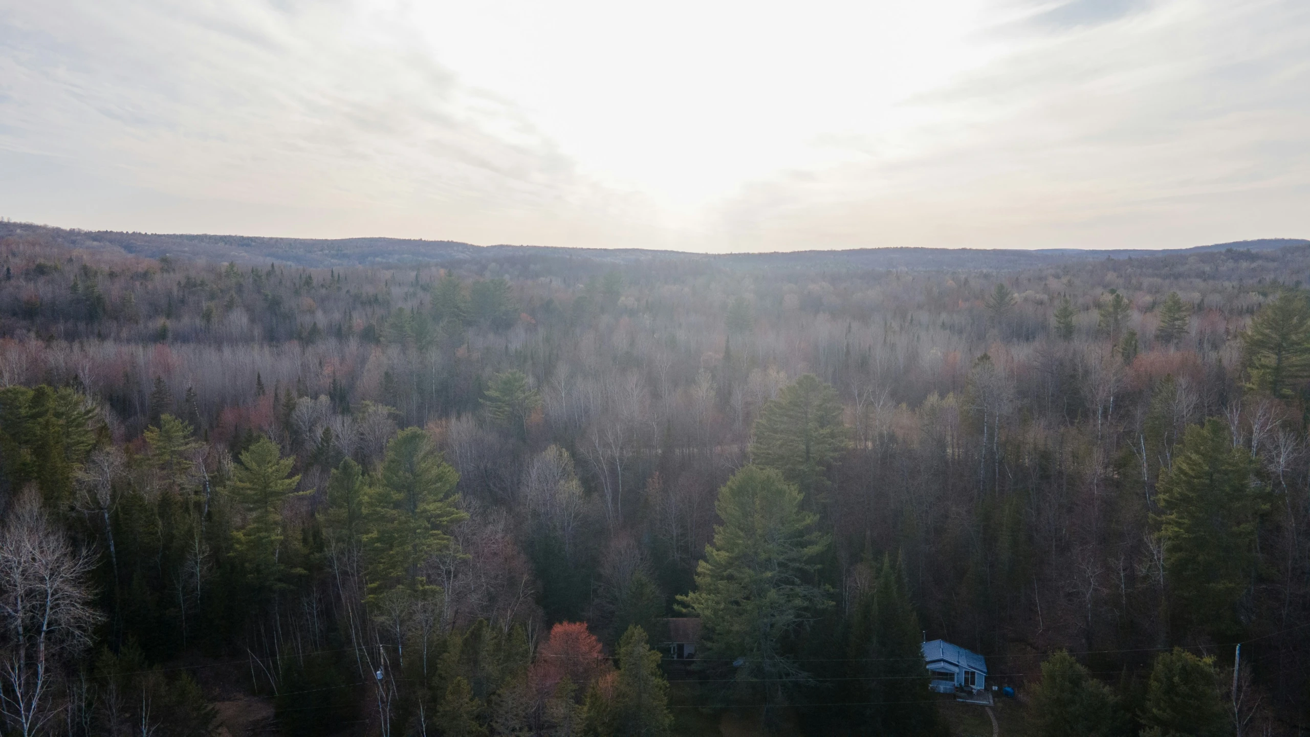 the forest is covered in trees with some houses