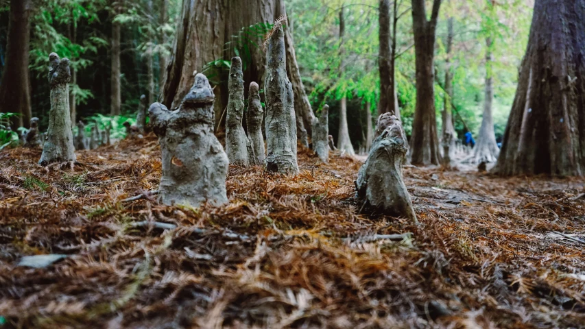 a group of little statues sitting in the middle of a forest