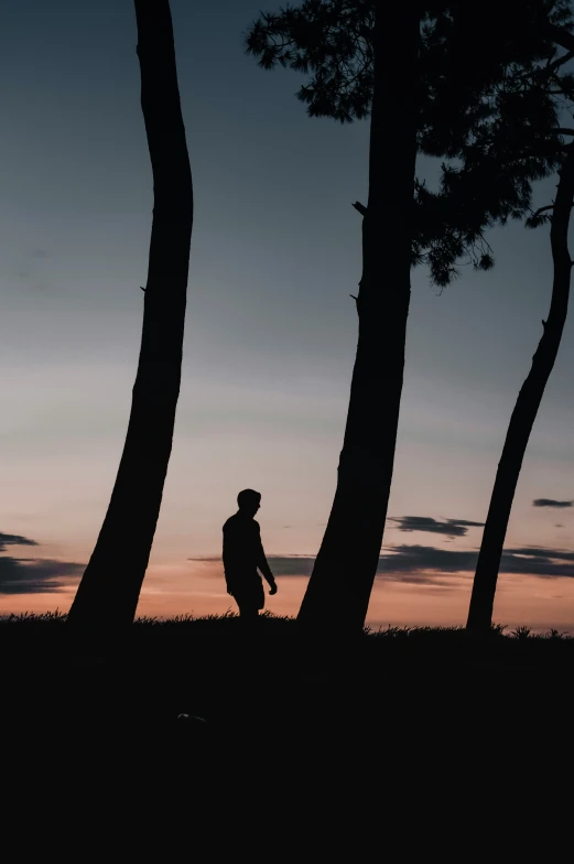 a man standing in front of several trees during the evening