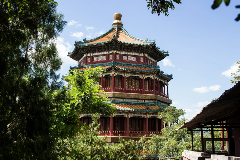 a tower with a roof made of wood near a forest