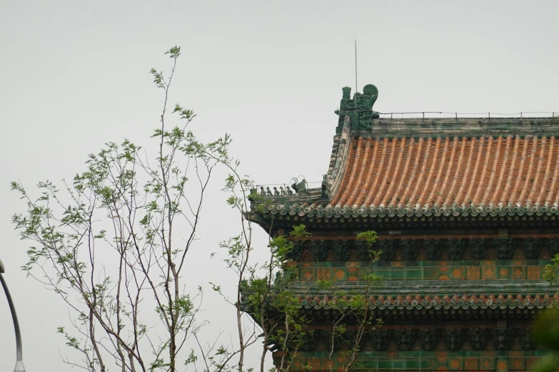 an asian style roof and building in the fog