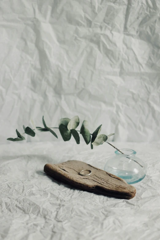 a vase with green plants sitting on a white table cloth