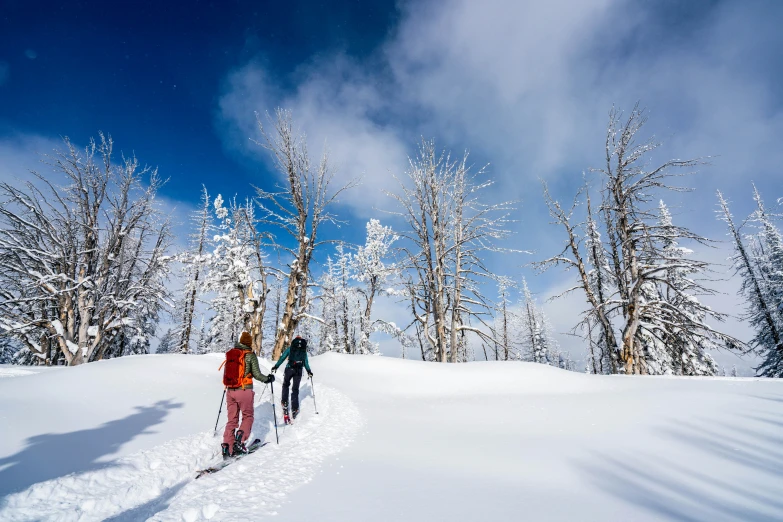 two people skiing on snow covered slope next to tall tree