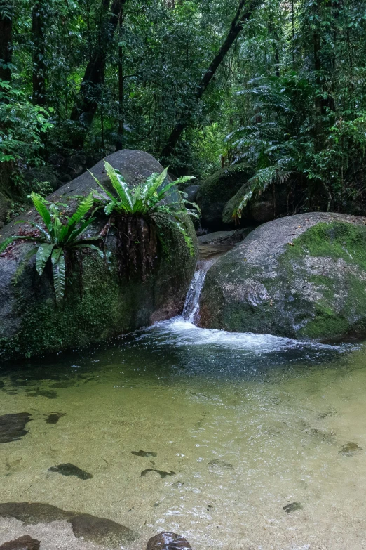 water running over rocks and boulders in the woods