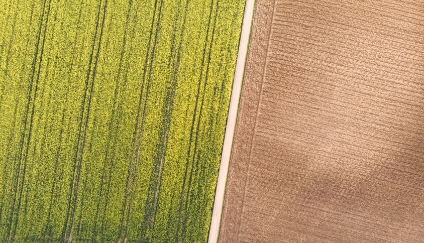 two green cropped crops are seen from the air