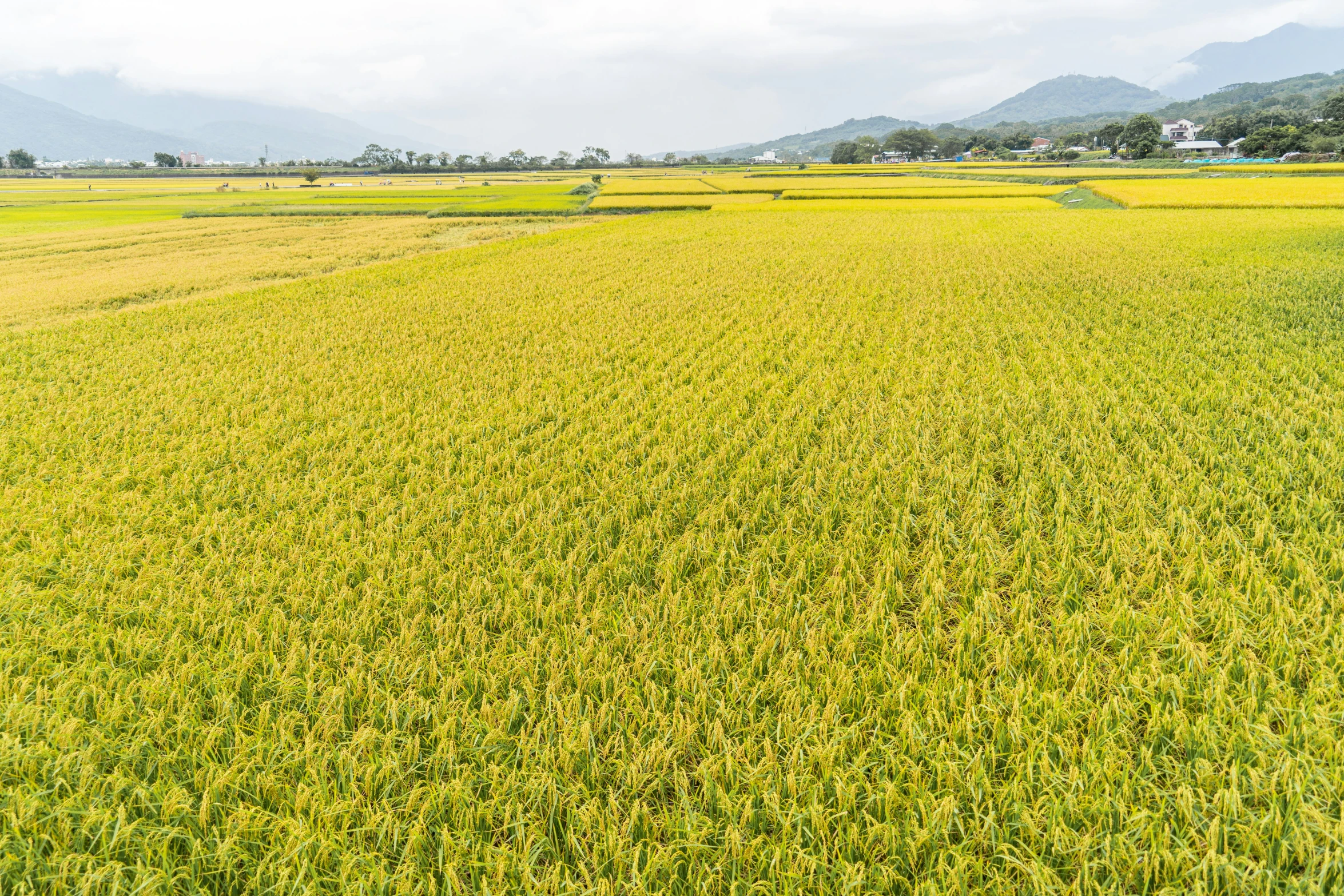 an aerial po shows the vast expanses of the countryside