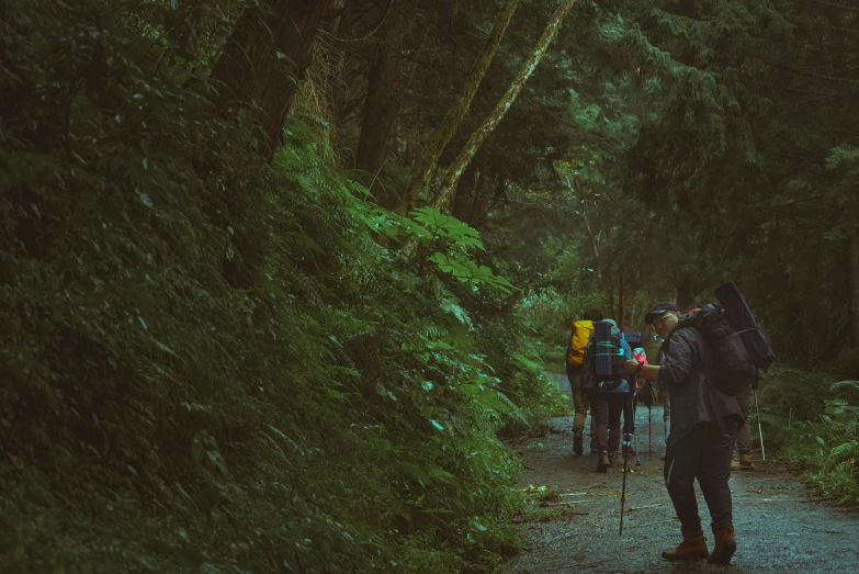 a group of hikers walk along the trail in the woods