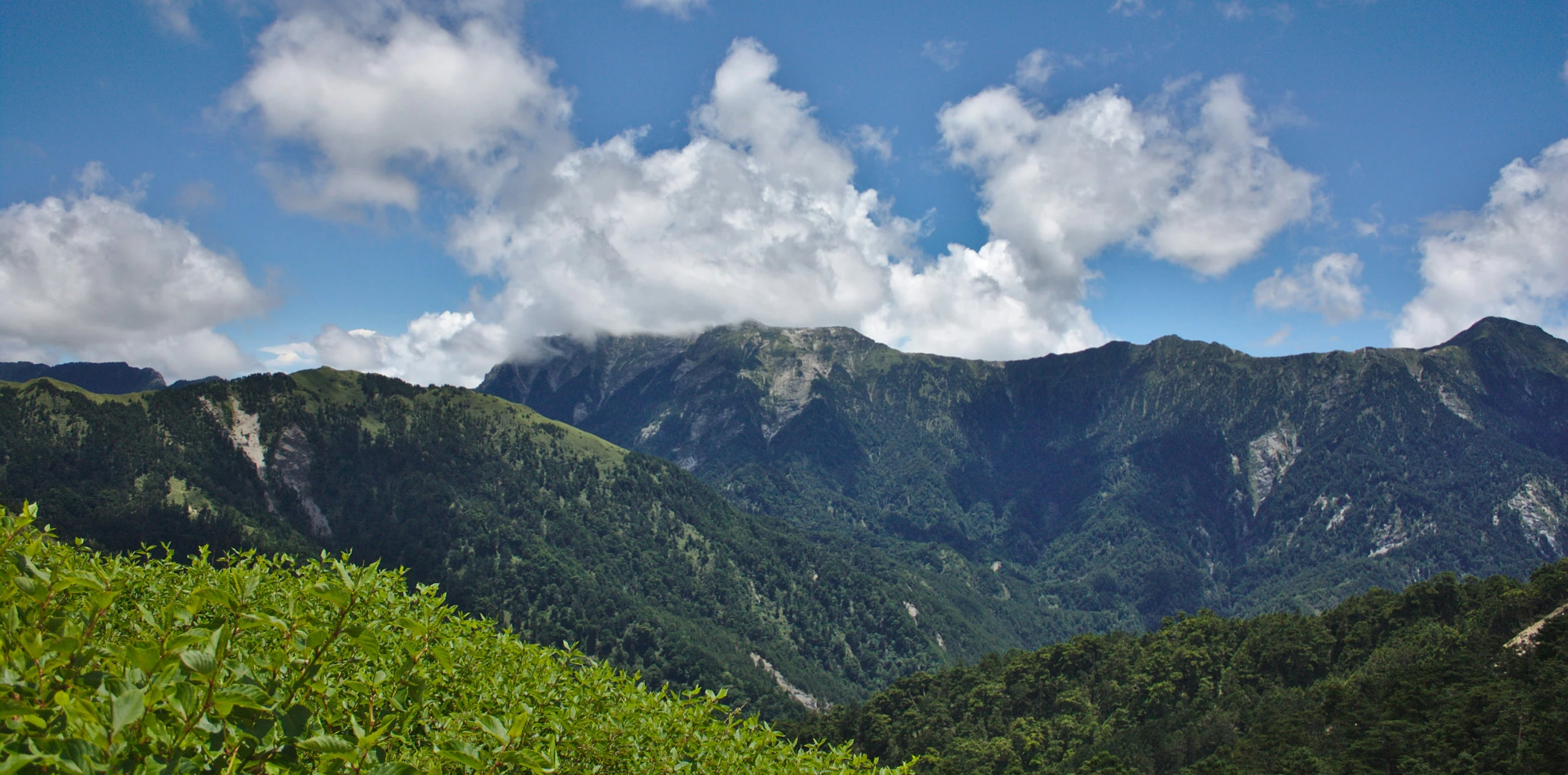 mountains in the distance and green trees in the foreground