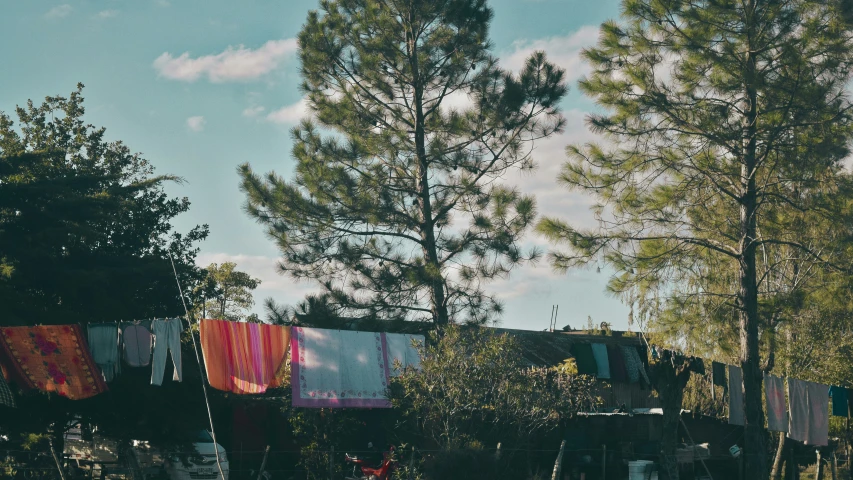 the clothesline is hanging in the trees outside