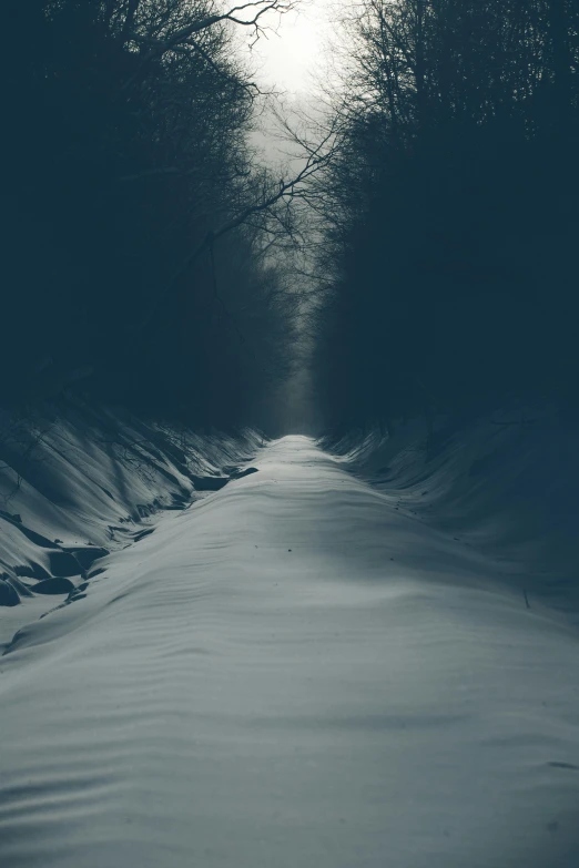 a road with snow covered trees on both sides of it