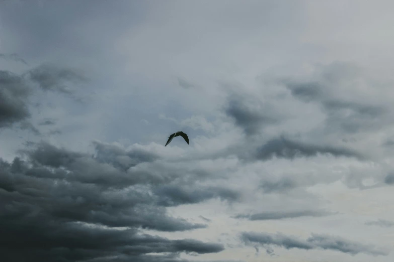 some birds flying in the sky above the ocean