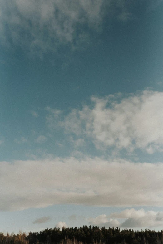 trees in the distance under a partly cloudy blue sky