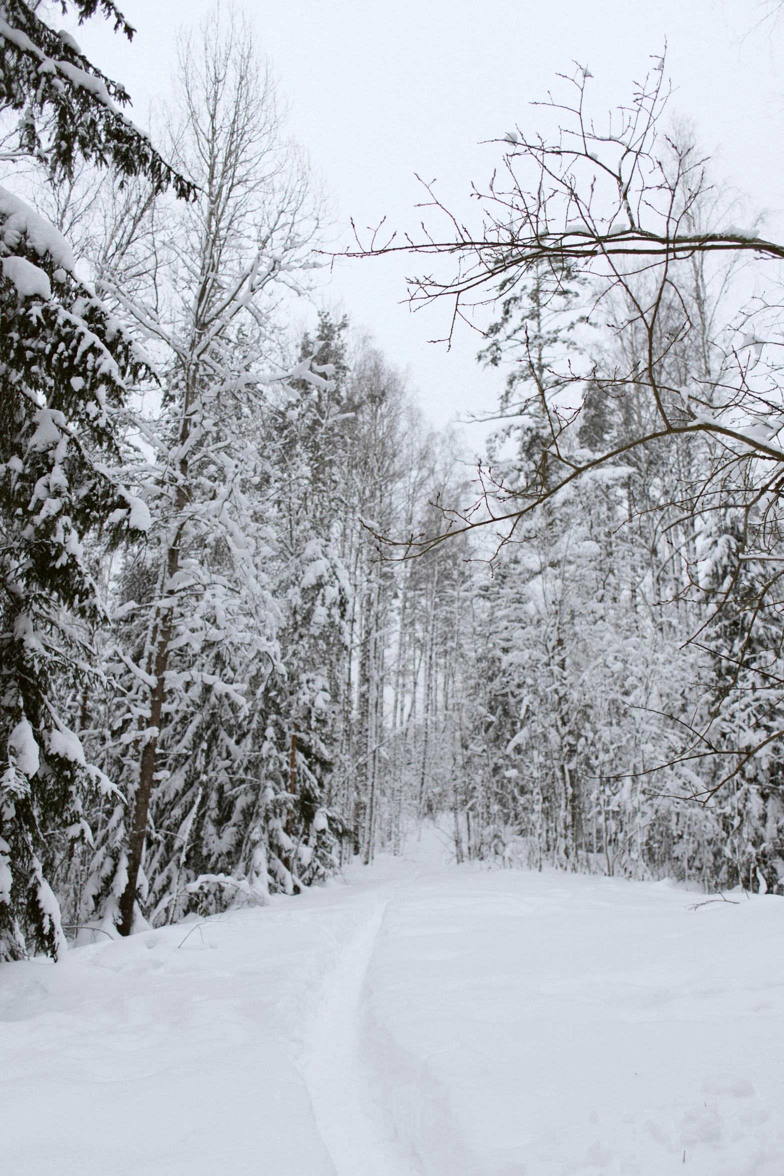 the road is quiet and covered with snow