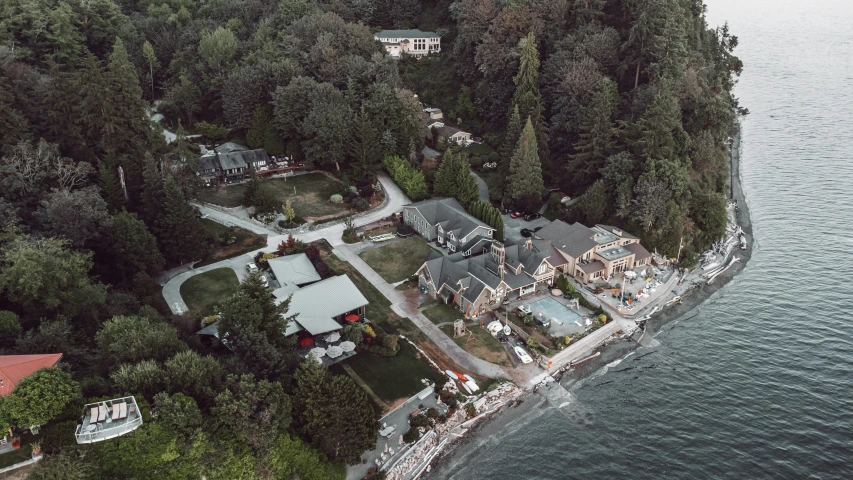 an aerial view of homes and trees at a lake