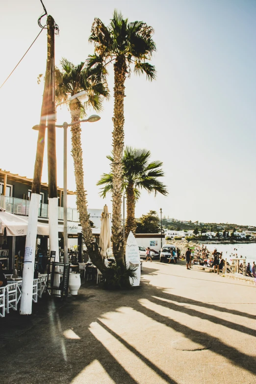 a beach scene has palm trees and white tables